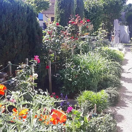 Schwarzwaldglueck 아파트 로핀겐