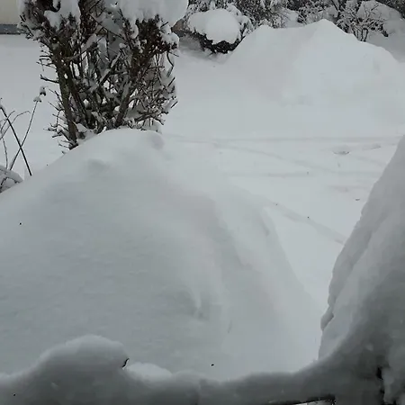 Apartman Schwarzwaldglueck *