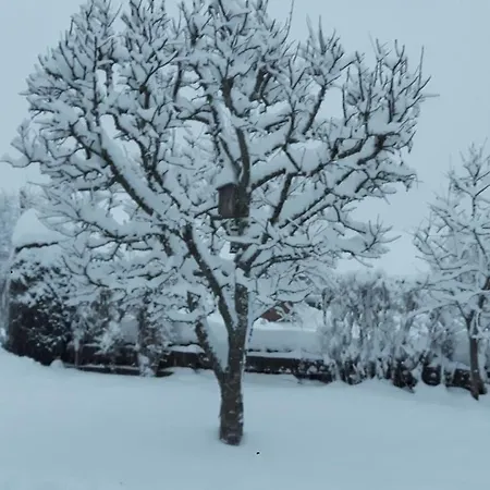 아파트 Schwarzwaldglueck 로핀겐