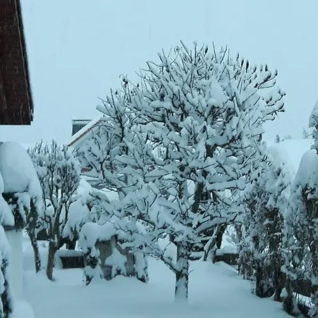 아파트 Schwarzwaldglueck