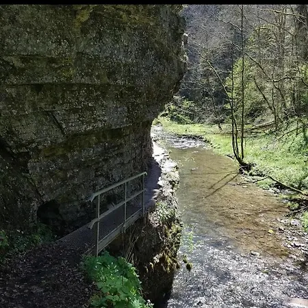 Schwarzwaldglueck * Loeffingen