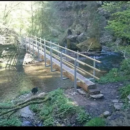 Schwarzwaldglueck