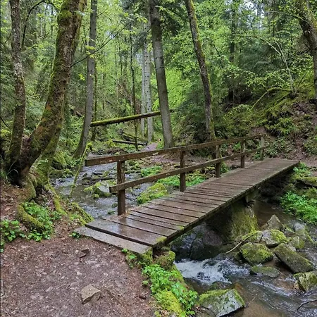 דירה Schwarzwaldglueck *