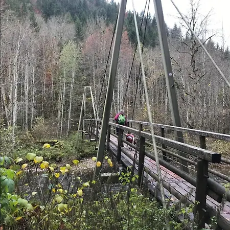 דירה Schwarzwaldglueck *