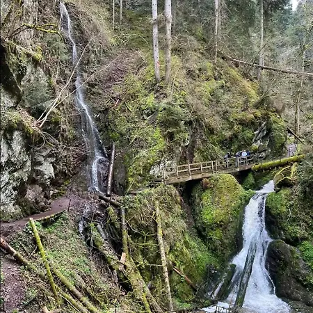 Schwarzwaldglueck 아파트 *