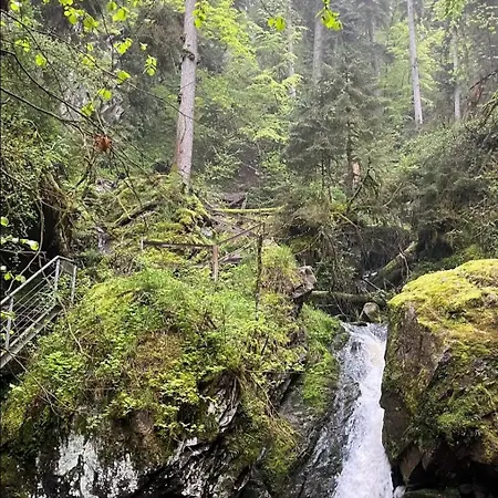 아파트 Schwarzwaldglueck 로핀겐