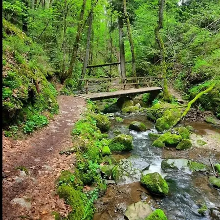 Schwarzwaldglueck