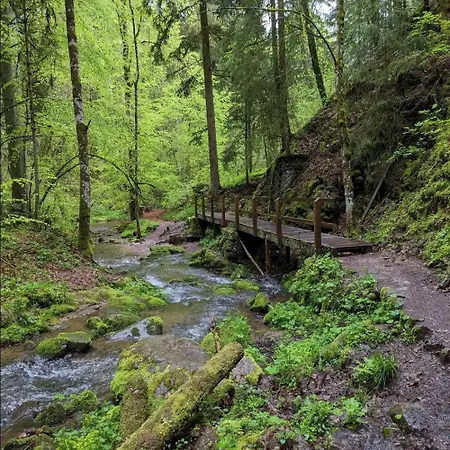 Schwarzwaldglueck Loeffingen
