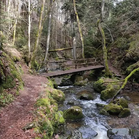 Schwarzwaldglueck *