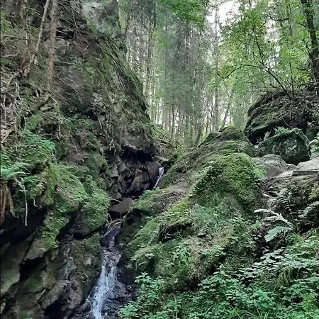 아파트 Schwarzwaldglueck