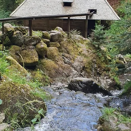 Schwarzwaldglueck Apartman