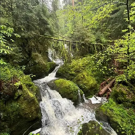 Schwarzwaldglueck